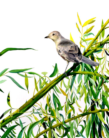 Картина под названием "Sylvia" - Анна Баранова, Подлинное произведение искусства, Акварель