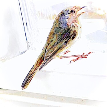 Фотография под названием "Rêverie" - Sylvie Chapuis, Подлинное произведение искусства, Манипулированная фотография