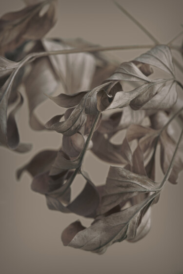 Fotografie mit dem Titel "Flower design_ 44555" von Michael Vdovin, Original-Kunstwerk, Digitale Fotografie