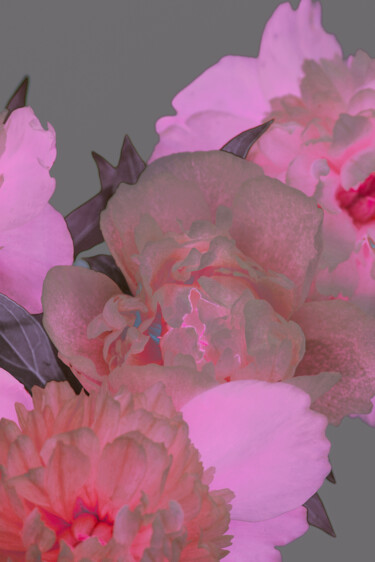 Fotografie mit dem Titel "Flower design_ 11708" von Michael Vdovin, Original-Kunstwerk, Digitale Fotografie