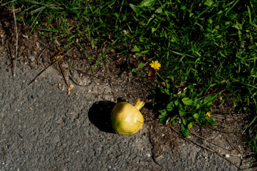 Фотография под названием "Fruit jaune sur l’a…" - Coralie Dauzats, Подлинное произведение искусства, Цифровая фотография