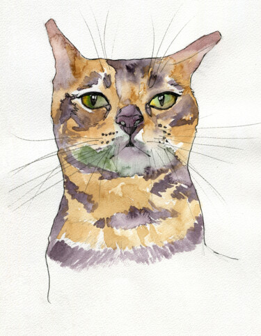 "Watercolor Cat 76" başlıklı Tablo Ilaria La Preziosa tarafından, Orijinal sanat, Suluboya