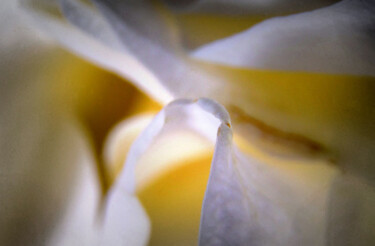 "Unseen Light" başlıklı Fotoğraf Karel Jan Willem Fehr tarafından, Orijinal sanat, Dijital Fotoğrafçılık