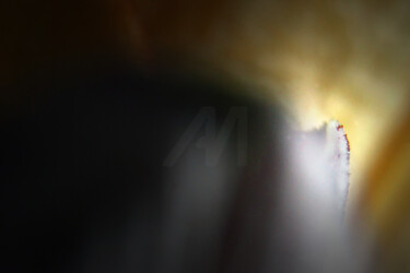 "A Fading Realm" başlıklı Fotoğraf Karel Jan Willem Fehr tarafından, Orijinal sanat, Dijital Fotoğrafçılık