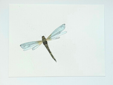 "Libélula" başlıklı Tablo Nadja Krummenacher tarafından, Orijinal sanat, Suluboya