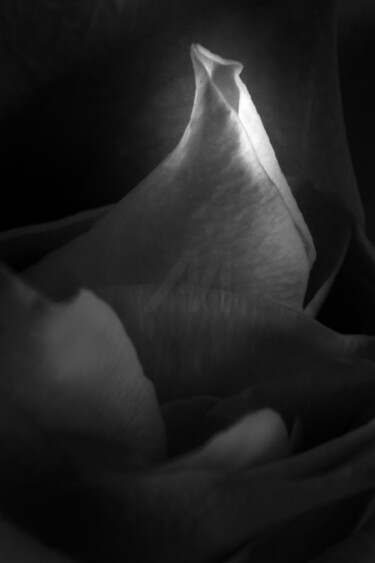 Photography titled "Unfolding Dawn" by Karel Jan Willem Fehr, Original Artwork, Digital Photography