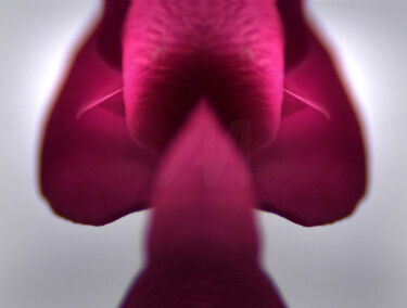 Photography titled "Gate of Becoming" by Karel Jan Willem Fehr, Original Artwork, Digital Photography