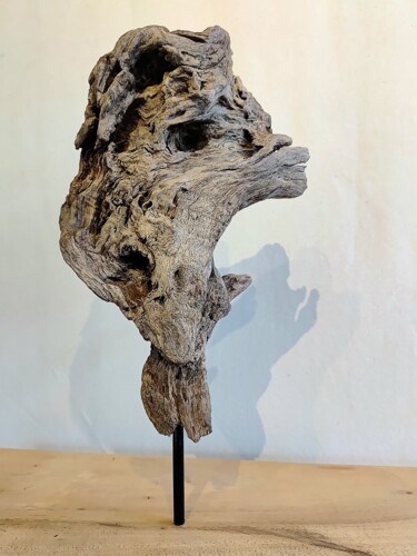 Skulptur mit dem Titel "ReadyMade 2" von Martin Zanollo, Original-Kunstwerk, Holz