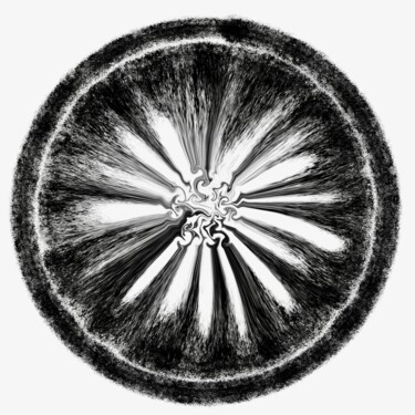 Escultura intitulada "Blck citrus" por Sumit Ratta, Obras de arte originais, Impressão digital Montado em Painel de madeira