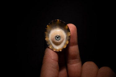 "L'intrépide" başlıklı Heykel Strangely Not Alive tarafından, Orijinal sanat, Polimer kil