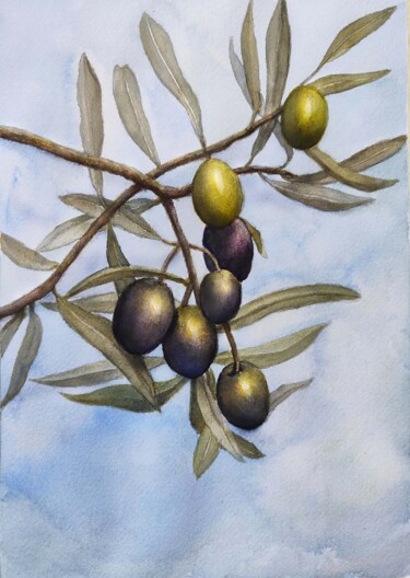 Картина под названием "Olive Tree Branch" - Hanna Samoilenko, Подлинное произведение искусства, Акварель