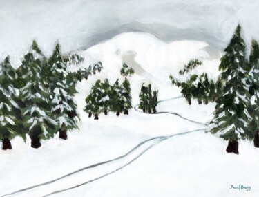 Ski Tracks on Snowy Day