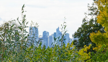 La Défense depuis le parc de Belleville