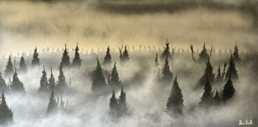 Sapins dans les brumes