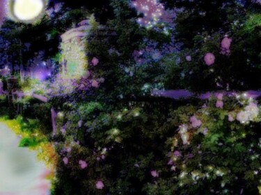 数字艺术 标题为“MoonlightAnd Firefl…” 由Maggie Barra, 原创艺术品
