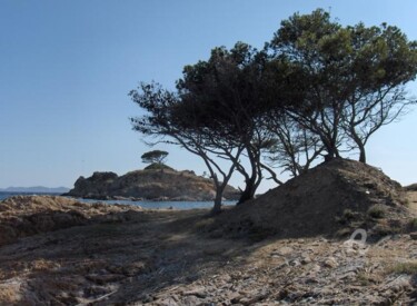 Photographie intitulée "une île pour les pe…" par Paule-Andree Maraval, Œuvre d'art originale