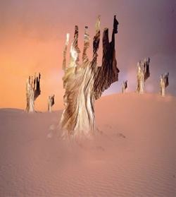 Digital Arts titled "solitued" by Manu Singh, Original Artwork