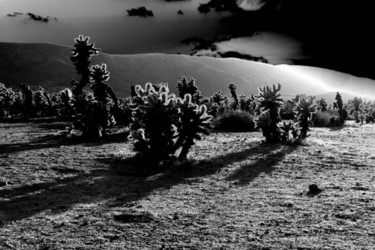 Photography titled "Looking Forward" by Angelo Di Pietrantonio, Original Artwork