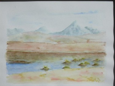 Peinture intitulée "Plaine du Chili" par Nathalie Torrents, Œuvre d'art originale