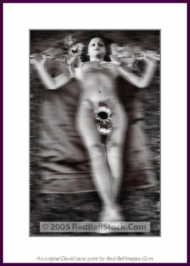 Forbidden Flowers Photography titled "Forbidden Flowers" by David Lace, Original Artwork