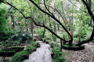 Photography titled "The Path" by Sandeep Singh, Original Artwork