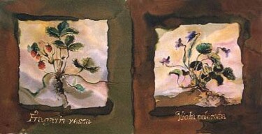 Peinture intitulée "Violets, Strowberrys" par Bozena Kwiatkowska, Œuvre d'art originale