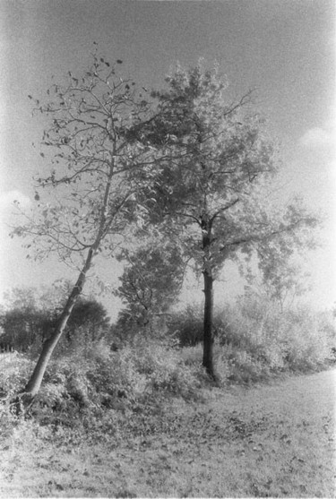 Fotografia intitolato "Untitled" da Gianluca Faletti, Opera d'arte originale