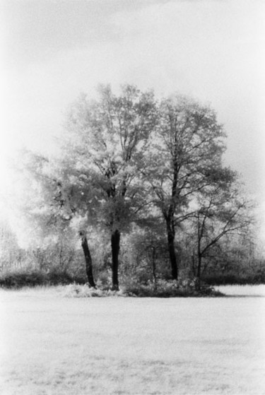 Fotografia intitolato "Untitled" da Gianluca Faletti, Opera d'arte originale
