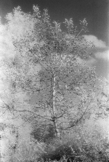Fotografia intitolato "Untitled" da Gianluca Faletti, Opera d'arte originale