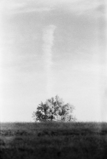 Fotografia intitolato "Untitled" da Gianluca Faletti, Opera d'arte originale