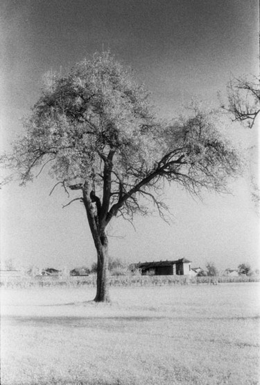 Fotografia intitolato "Untitled" da Gianluca Faletti, Opera d'arte originale