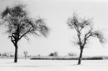 Fotografia intitolato "Untitled" da Gianluca Faletti, Opera d'arte originale