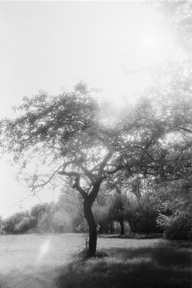 Fotografia intitolato "Untitled" da Gianluca Faletti, Opera d'arte originale