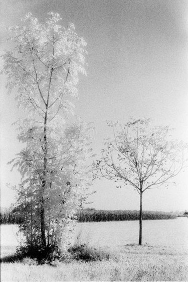 Fotografia intitolato "Untitled" da Gianluca Faletti, Opera d'arte originale