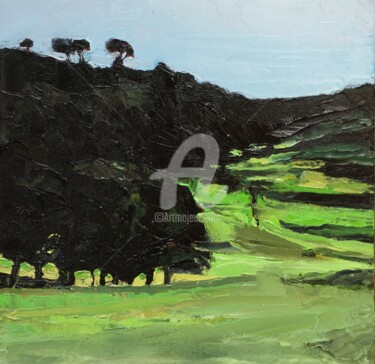 Painting titled "Woomergarma 11" by Glenda Fell Jones, Original Artwork, Oil