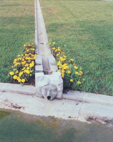 Fotografia intitolato "Untitled" da Gianluca Faletti, Opera d'arte originale