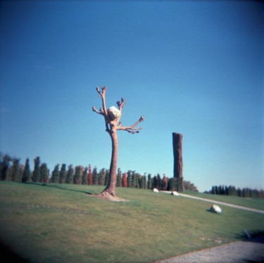 Fotografia intitolato "Giuseppe Penone scu…" da Gianluca Faletti, Opera d'arte originale