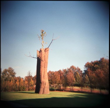 Fotografia intitolato "Giuseppe Penone scu…" da Gianluca Faletti, Opera d'arte originale