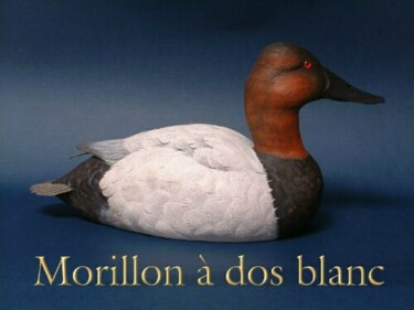 Sculptuur getiteld "Morion à dos blanc" door Jean-Roch Bouchard, Origineel Kunstwerk