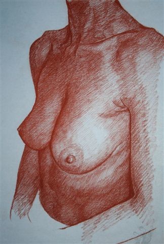 Disegno intitolato "nudo" da Franco Petrosemolo, Opera d'arte originale