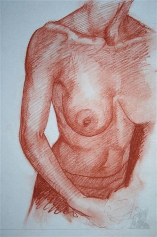Disegno intitolato "nudo" da Franco Petrosemolo, Opera d'arte originale