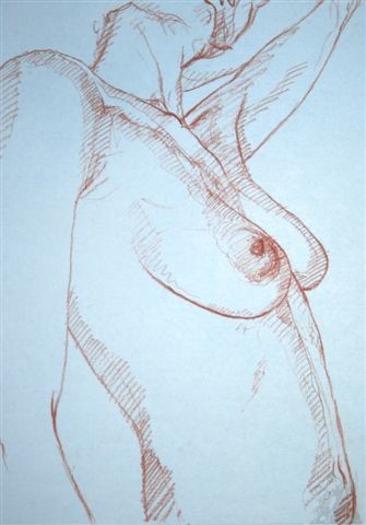 Disegno intitolato "nudo" da Franco Petrosemolo, Opera d'arte originale