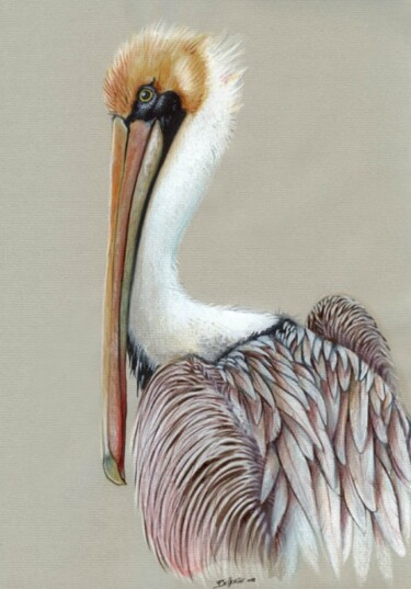 Peinture intitulée "Pélican Brun" par Florence Dellerie, Œuvre d'art originale, Huile