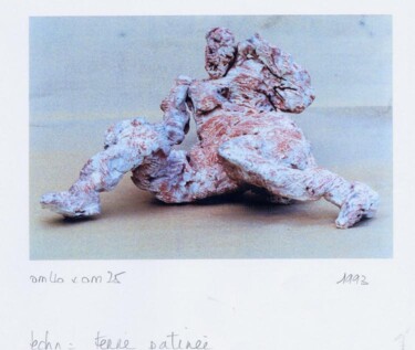 Sculpture intitulée "terre patinée" par Catherine Monmarson, Œuvre d'art originale