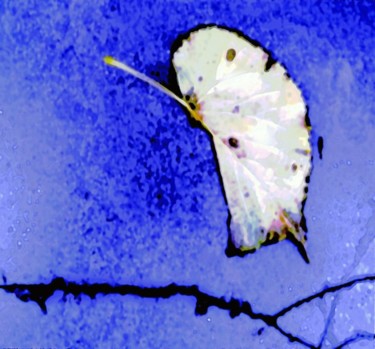 Digital Arts titled "how_much_is_the_lov…" by Tomas Karkalas, Original Artwork, Digital Painting