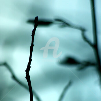 Photographie intitulée "Ombre lumière no 3" par Chantal Gagné, Œuvre d'art originale