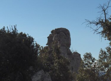 Photographie intitulée "HPIM0751.JPG" par Paule-Andree Maraval, Œuvre d'art originale