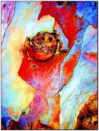 Photographie intitulée "n°67" par Guy Rémion, Œuvre d'art originale