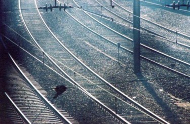 Photography titled "Sans titre" by Philippe Zintzen, Original Artwork