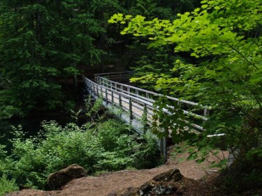 Instalación titulada "McKenzie River Foot…" por James And Kelly Stone, Obra de arte original